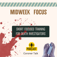 Training Focus: Doll Reenactments