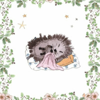 Ive Lost My Blanket!