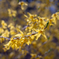 how it begins, again