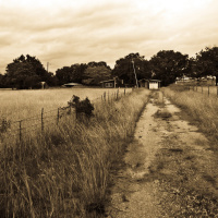 Running on Old Trails