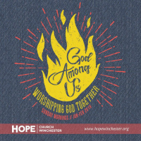 Always The Plan // Steve Chick