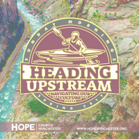 History Is His Story // Steve Petch