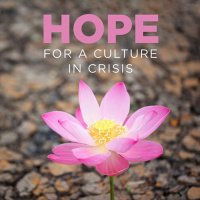 More Than Conquerors // Tim Blaber