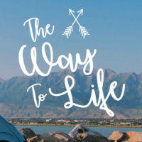 Building Well // John Groves