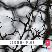 Afl. 137 #doorninhetvlees