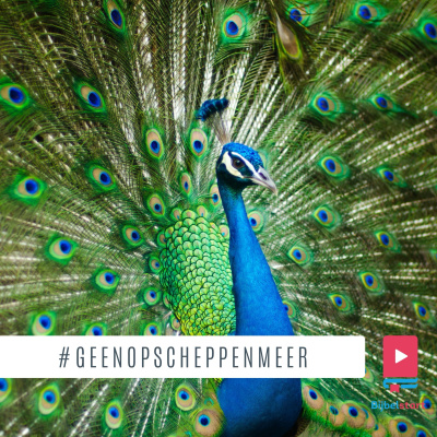 Trans World Radio Nederland