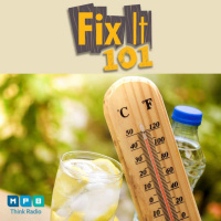 Fix It 101 | Summer Projects