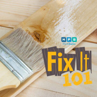 Fix It 101 | Shellac Tales
