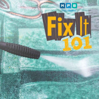 Fix It 101 | Rug Cleaner