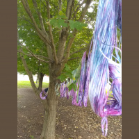 Episode 65 Fresh Ground Nutmeg