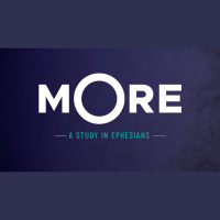 Wrapping it Up - Charleston