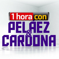 Peláez y Cardona 27-04-2016