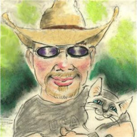 Navajo Dogs Gone Wild