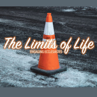 The Pain Of Limitation - The Limits of Life: Engaging Ecclesiastes