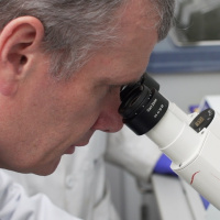 RIT1 Mutations in Lung Cancer with Douglas Andres