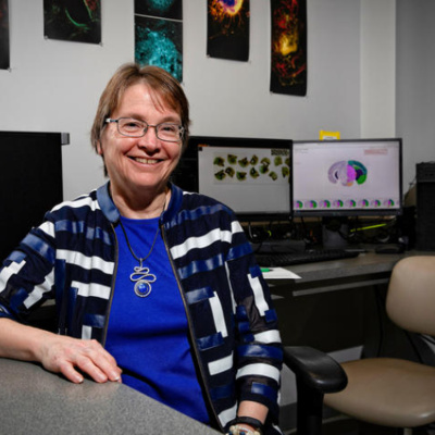 University Of Kentucky Research Media