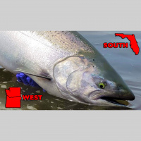 Finally A NEW EPISODE!!