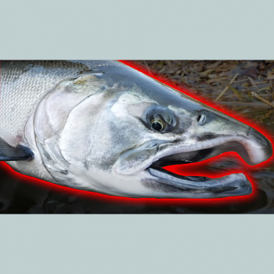 Addicted Fishing Podcast