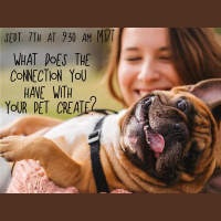 What does the connection you have with your pet create?
