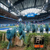 Lions Escape – November 23, 2025