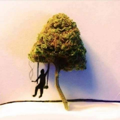 Future Theater Radio With Bill  Nancy Birnes