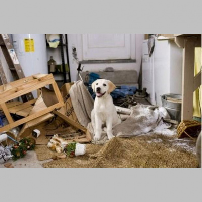 A Phrasal Verb A Day - Learn English Phrasal Verbs With Luke Thompson