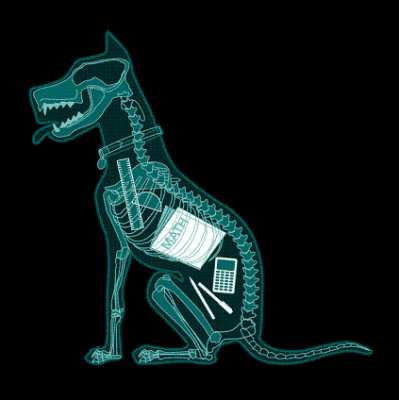 A Phrasal Verb A Day - Learn English Phrasal Verbs With Luke Thompson