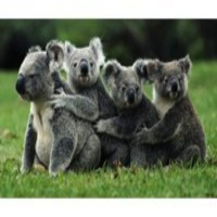 Programa 96 - Dame un beso azucarado