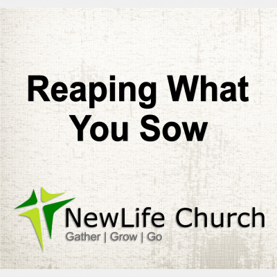 Newlife Church Sermons