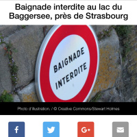 #59 #grognon #sciatique #caca #BaignadeInterdite #grrrr