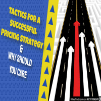 Tactics For a Successful Pricing Strategy  Why Should You Care | Ep. #290