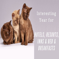 Interesting Year for Hotels, Resorts, Inns  Bed  Breakfasts | Ep. #174