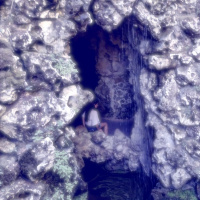 #10 INTRANOVA - Das Flüssige Land