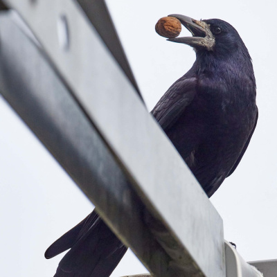 Wdr 5 Funkhausgespräche / Wdr 5 Stadtgespräch