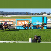 Mornington Preview with Harry White - 22nd January 2023