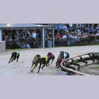 Talking Dogs with George Farrugia - 22nd of January 2023