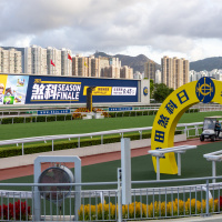 Sha Tin Preview - 18th December 2022 with Tom Wood