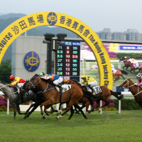 Sha Tin Preview with Tom Wood - 29th of January 2023
