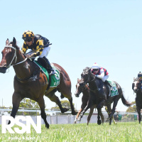 TAB Park Werribee Preview with Harry White - 18th December 2022