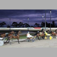 Talking Trots with Rob Auber - 22nd of January 2023