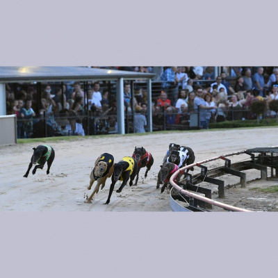 Talking Horses - With Jo Mckinnon, 7 - 8am Sundays