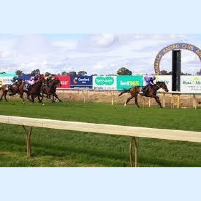 Talking Horses - With Jo Mckinnon, 7 - 8am Sundays