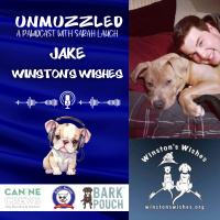 Unmuzzled: A Pawdcast with Jake from Winstons Wishes