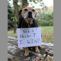 Unmuzzled: A Pawdcast with Roo Yori