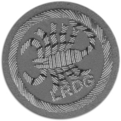 Wwpd News From The Front