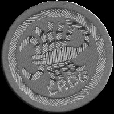 Wwpd News From The Front