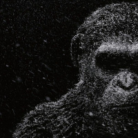 Ep 41 - Hot Takes - War for the Planet of the Apes