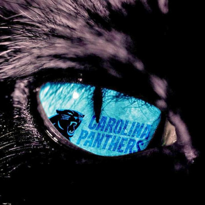 Panthers Reddit Podcast