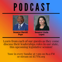 2026 Senator Linda Lopez  Senator Harold Pope Interview