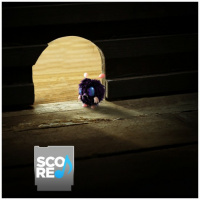 ScoreVG 048 - Venonat